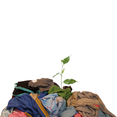 greenlaundrysquare