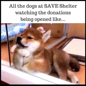 Awaiting donations to animal shelter