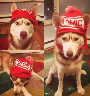 Team toques.